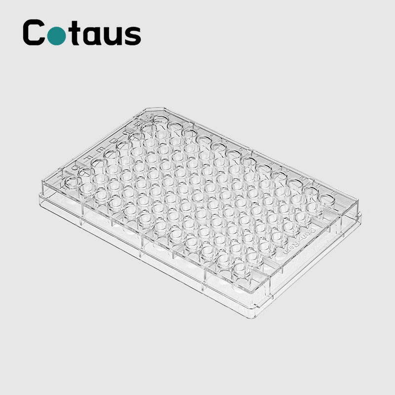 Introduktion af Elisa Plate